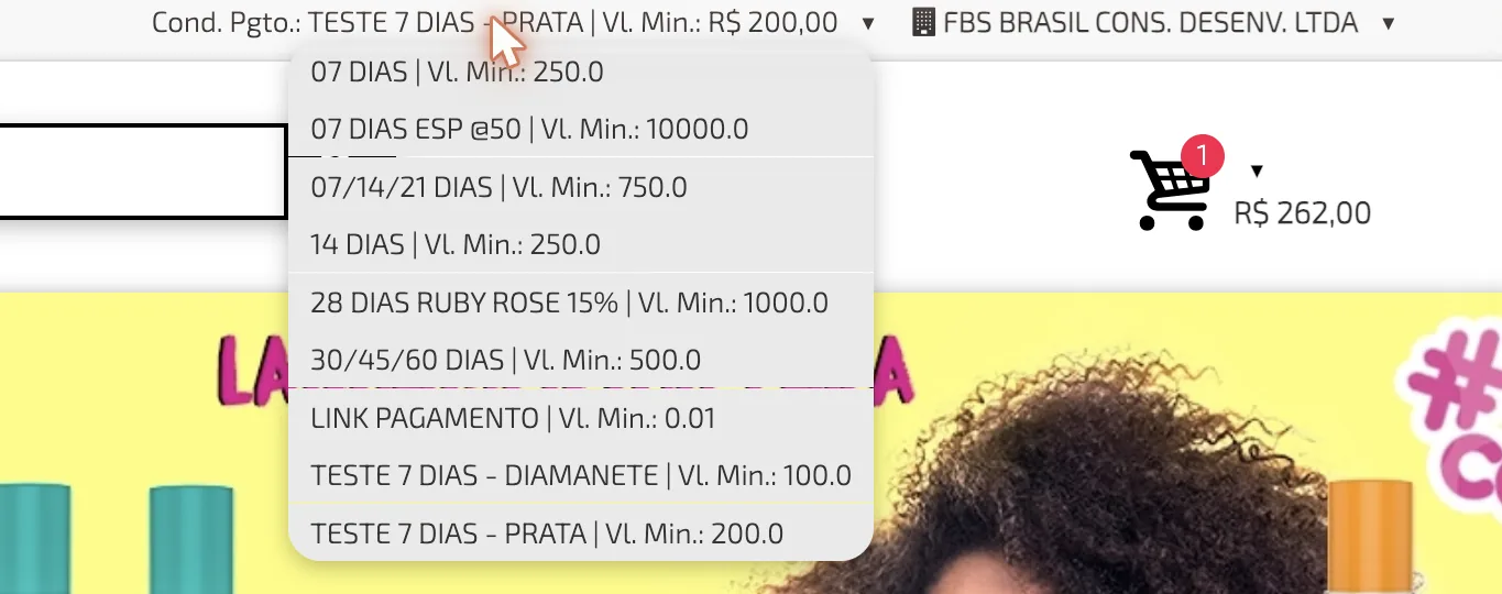 Lista de condições de pagamento do comprador no topo do portal, cada uma com o seu valor mínimo