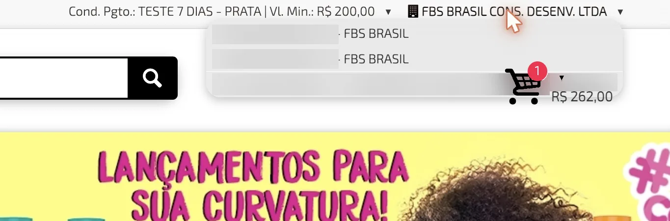Seletor de empresa no topo do portal com mais de um CNPJ para o mesmo comprador (CNPJs borrados)